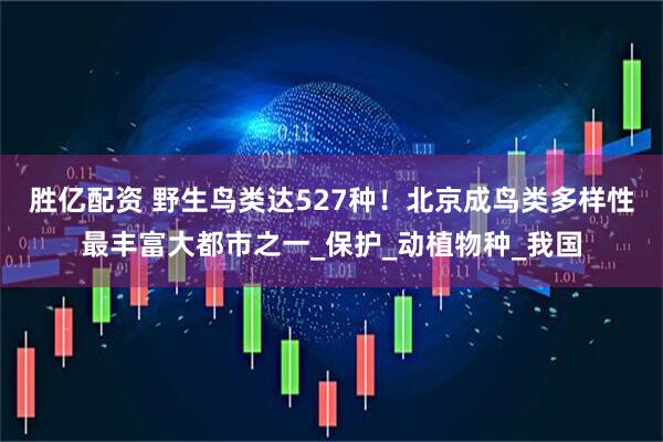 胜亿配资 野生鸟类达527种！北京成鸟类多样性最丰富大都市之一_保护_动植物种_我国