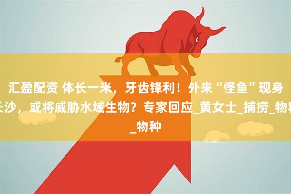 汇盈配资 体长一米，牙齿锋利！外来“怪鱼”现身长沙，或将威胁水域生物？专家回应_黄女士_捕捞_物种