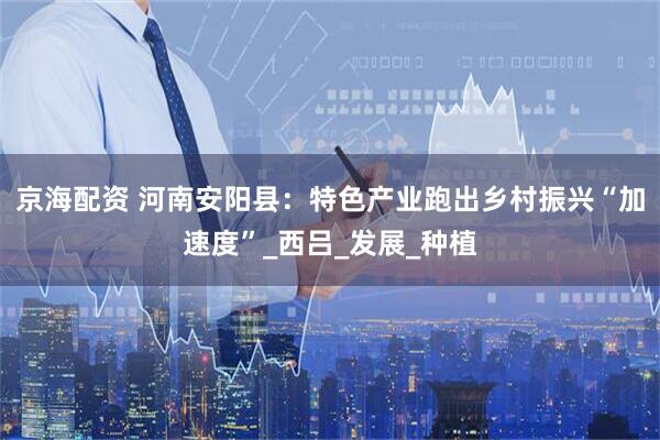 京海配资 河南安阳县：特色产业跑出乡村振兴“加速度”_西吕_发展_种植
