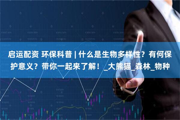 启运配资 环保科普 | 什么是生物多样性？有何保护意义？带你一起来了解！_大熊猫_森林_物种
