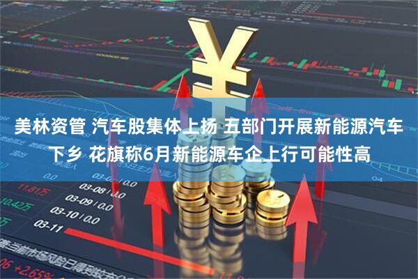 美林资管 汽车股集体上扬 五部门开展新能源汽车下乡 花旗称6月新能源车企上行可能性高