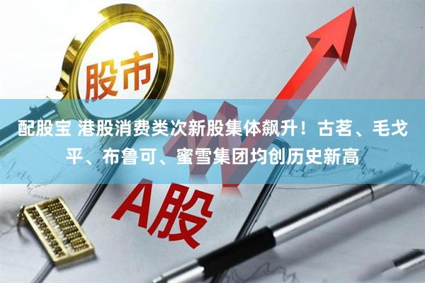配股宝 港股消费类次新股集体飙升！古茗、毛戈平、布鲁可、蜜雪集团均创历史新高