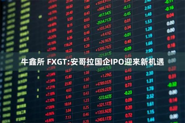 牛鑫所 FXGT:安哥拉国企IPO迎来新机遇