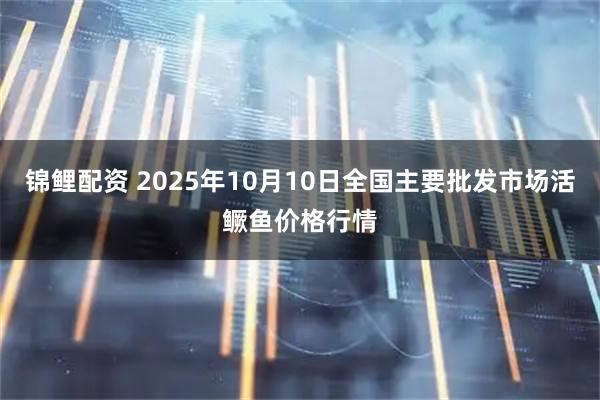 锦鲤配资 2025年10月10日全国主要批发市场活鳜鱼价格行情