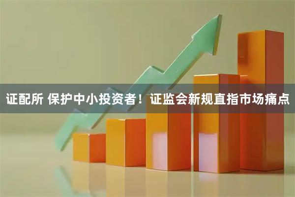 证配所 保护中小投资者！证监会新规直指市场痛点