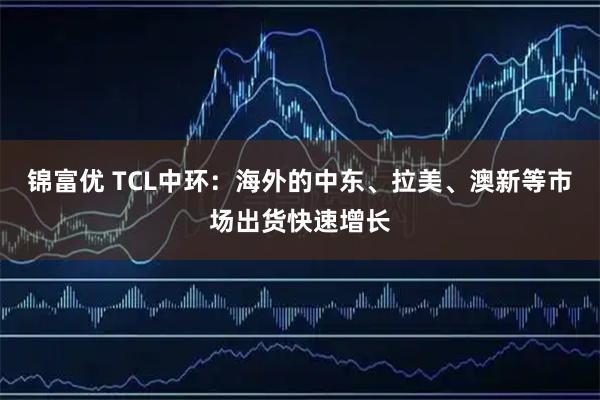 锦富优 TCL中环：海外的中东、拉美、澳新等市场出货快速增长