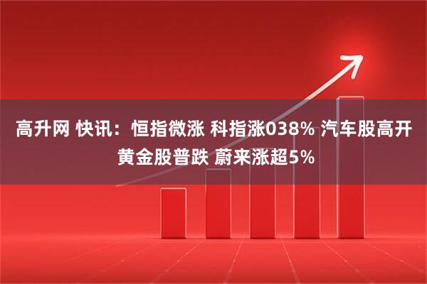 高升网 快讯：恒指微涨 科指涨038% 汽车股高开 黄金股普跌 蔚来涨超5%